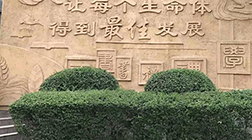 【景觀雕塑廠家】制作，多少錢，價(jià)格